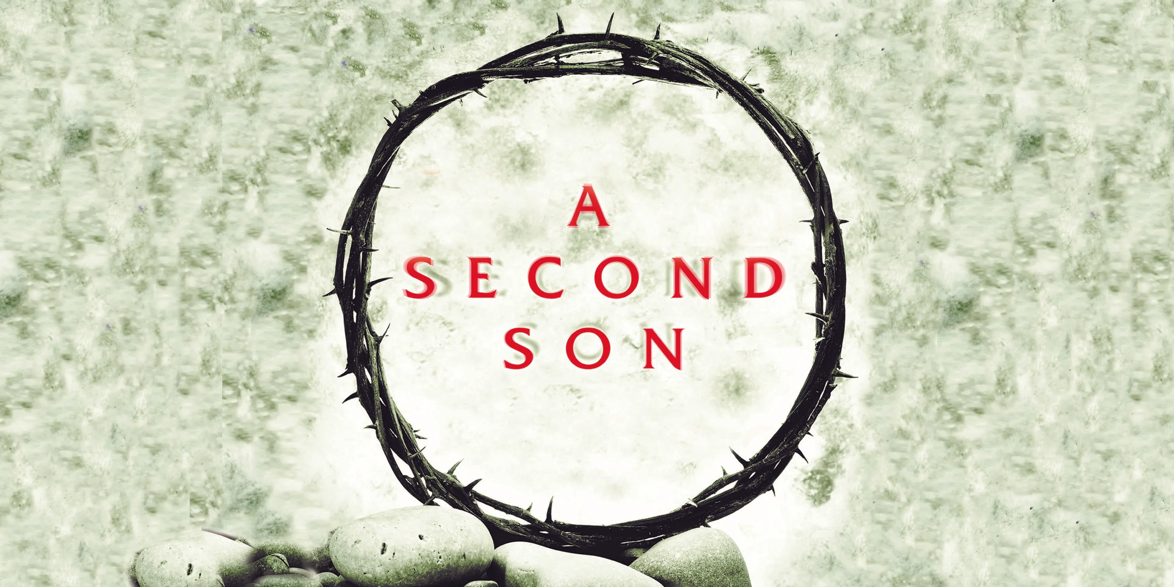 A Second Son poster